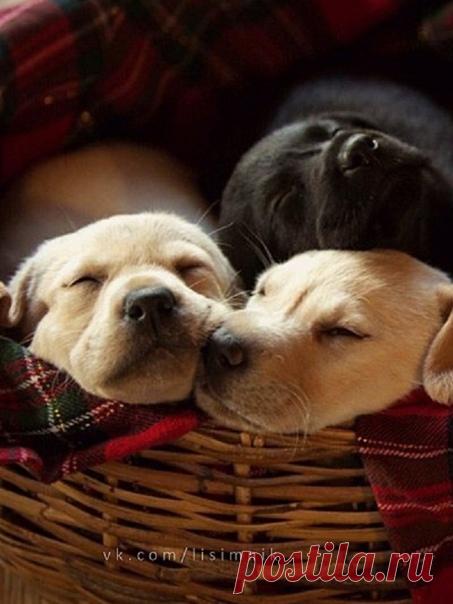 Что такое счастье? Где оно живёт?
В самых лучших встречах - когда кто-то ждёт,
В самых близких людях - тех, что очень любят...
В самых теплых фразах - тех, что утром будят
В доброте, улыбке и цветах красивых,
В новостях приятных, и глазах счастливых,
И в дороге лёгкой, что ведет домой...