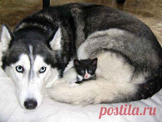 Легальный бизнес в сети интернет. Финансовых вложений нет. График свободный. Доход высокий, официальный. сопровождение до результата. Подходит всем, у кого есть 2-4 часа свободного времени и способность к обучению. Подробнее здесь: http://natakamysh.justclick.ru/work_ori