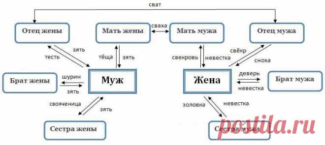 Близкие родственники: сват свекровь теща тесть сноха кум деверь шурин-родственные связи