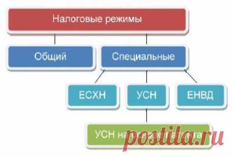 Системы налогообложения: / Основы бизнеса