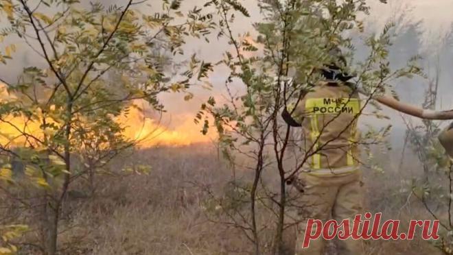 В Воронежской области пожарные тушат огонь на 10 га. В Воронежской области горит сухая трава на огромной площади. Об этом сообщили в пресс-службе областного МЧС России. "Поступило сообщение о загорании сухой травы возле садоводческих товариществ "Дорожник" и ...