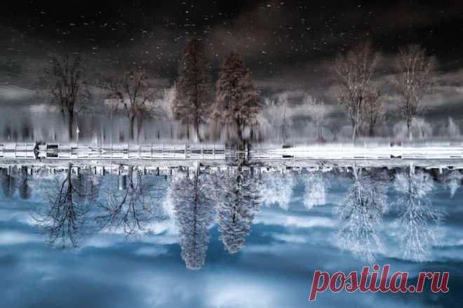 25 фотографий, на которые придется посмотреть дважды • НОВОСТИ В ФОТОГРАФИЯХ
