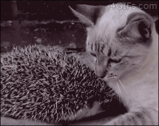 ))))) (видео)