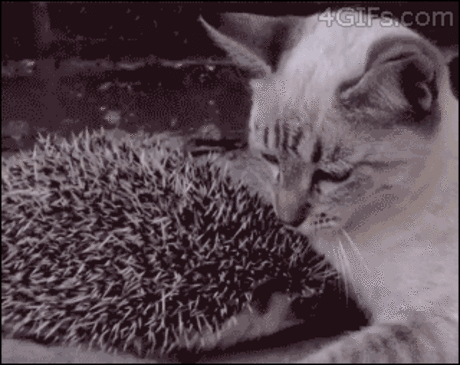))))) (видео)