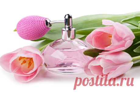 Туалетная вода, отличие от парфюмированной воды, её виды и методы нанесения | aromastylist | Яндекс Дзен