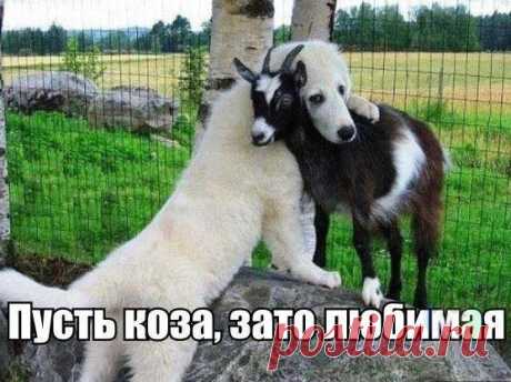 Интересные новости