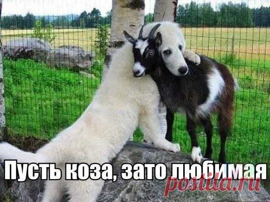 Интересные новости