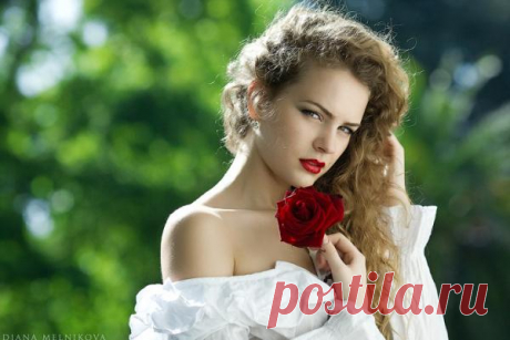 Магическая защита от негатива с помощью розы. 
Нежная роза с точки зрения эзотерики является мощным символом психической защиты. 
Про розы в качестве защитного средства от воздействий чужого энергетического поля пишут многие эзотерические учения.…