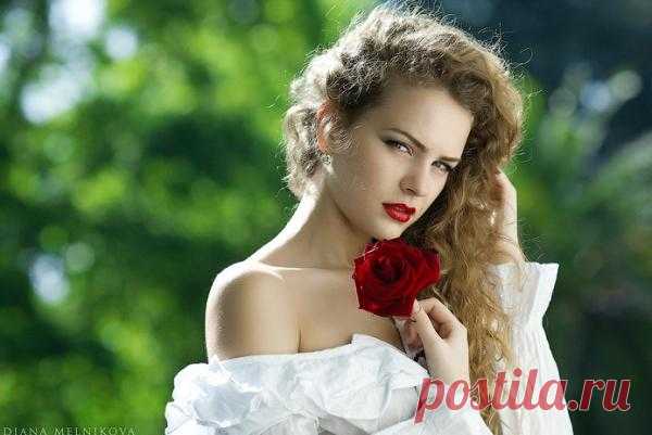 Магическая защита от негатива с помощью розы. 
Нежная роза с точки зрения эзотерики является мощным символом психической защиты. 
Про розы в качестве защитного средства от воздействий чужого энергетического поля пишут многие эзотерические учения.…