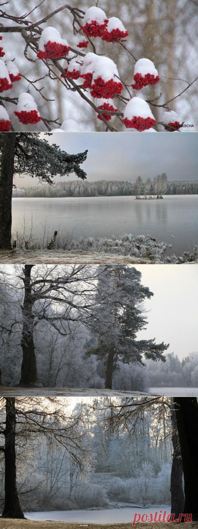 Пусть будет снег. Пусть будет белый иней !