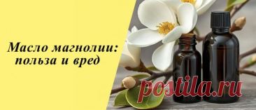 Эфирное масло магнолии: свойства и применение, польза и вред Эфирное масло магнолии: что это такое, состав и полезные свойства, применение в кулинарии и косметологии, вред и противопоказания.