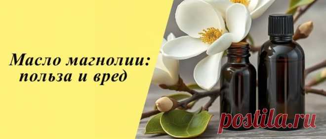 Эфирное масло магнолии: свойства и применение, польза и вред Эфирное масло магнолии: что это такое, состав и полезные свойства, применение в кулинарии и косметологии, вред и противопоказания.