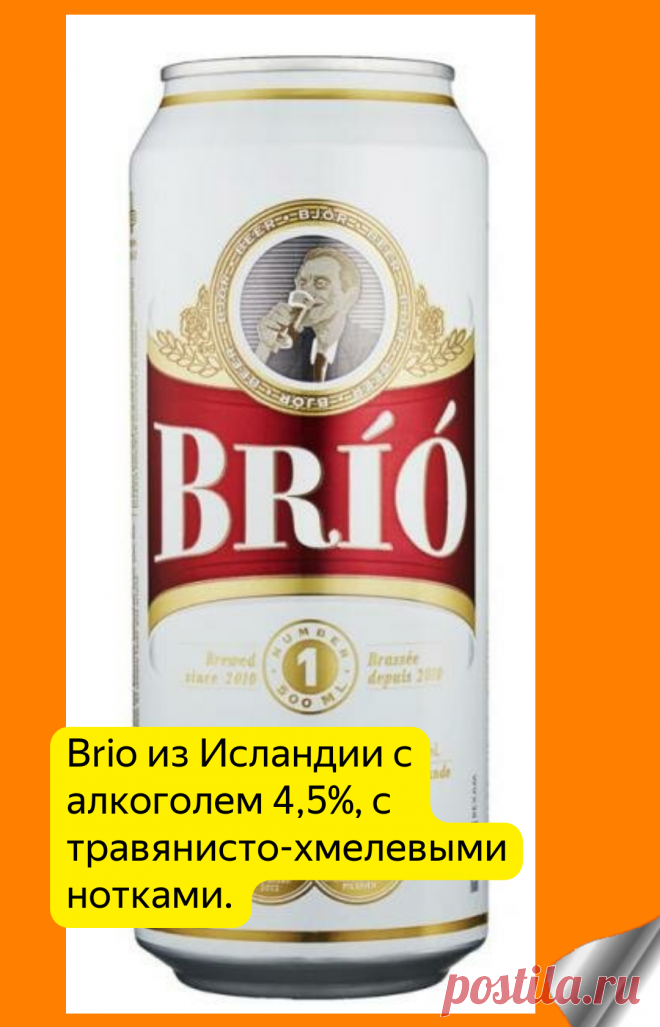 Баночное пиво: обзор лучшего в России | Про самогон и другие напитки 🍹 | Яндекс Дзен
