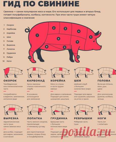 Друзья! Вы спрашивали мы отвечаем! 
Части свиной туши

Мясо свиньи имеет четкую классификацию, как по категориям, так и по частям туши. Опытные повара и хозяйки знают, что такое корейка и чем она отличается от карбонада.

Голова. Самое ценное у этого мяса — щеки и уши. Щеки добавляют в холодец, делают рулеты и зельц. Уши коптят, добавляют в салаты и варят в холодце.

Шейка — весьма нежное мясо, срезается с шеи. Этот кусок содержит достаточное количество жировых прослоек, ч...