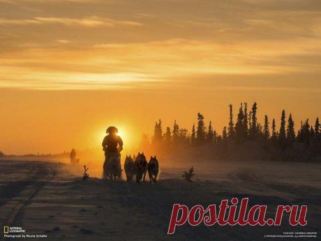 Двое погонщиков на собачьих упряжках е / Социальная погода