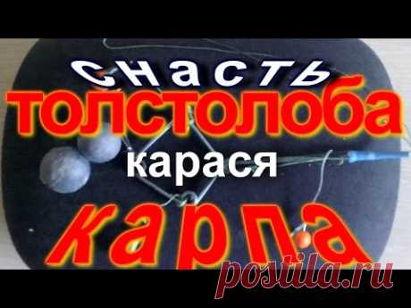 Универсальная снасть на карпа,толстолоба, карася и не только