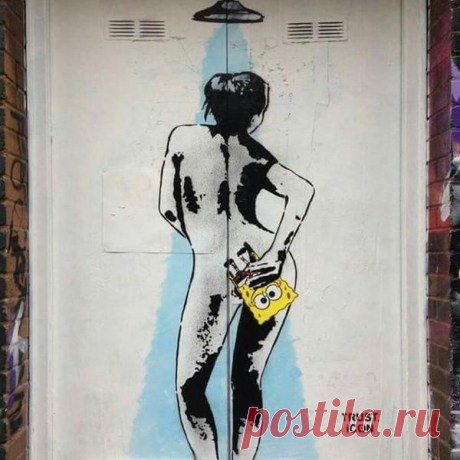 Губка поп.