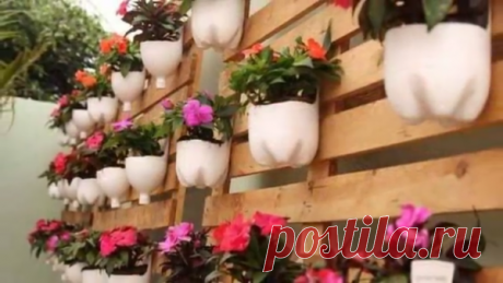 КАКИЕ ЦВЕТЫ НУЖНО СЕЯТЬ В ФЕВРАЛЕ
На самом деле вся работа у огородников и дачников начинается не весной как все думают а еще в феврале. Те кто начинает высев цветов в феврале конечно получают цветение в апреле и начало мая. Имен…