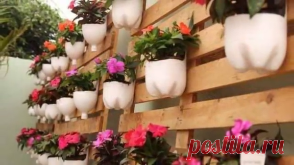 КАКИЕ ЦВЕТЫ НУЖНО СЕЯТЬ В ФЕВРАЛЕ  
 

На самом деле вся работа у огородников и дачников начинается не весной как все думают а еще в феврале. Те кто начинает высев цветов в феврале конечно получают цветение в апреле и начало мая. Имен…