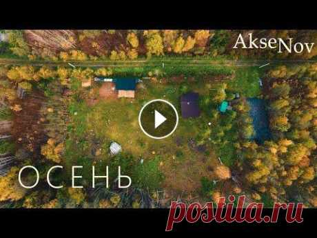 Обустройство Дачного Участка | Осень 2021 Как обустроить дачный участок своими руками в осеннее время? Как расчистить участок от пней после спила деревьев? Как постричь живую изгородь по уровн...