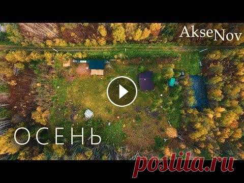 Обустройство Дачного Участка | Осень 2021 Как обустроить дачный участок своими руками в осеннее время? Как расчистить участок от пней после спила деревьев? Как постричь живую изгородь по уровн...
