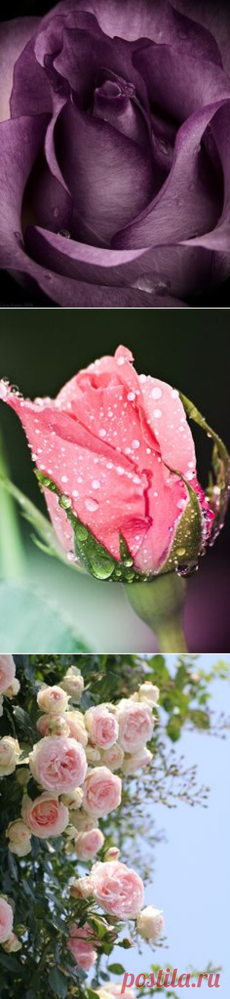 (2) Pinterest: инструмент для поиска и хранения интересных идей