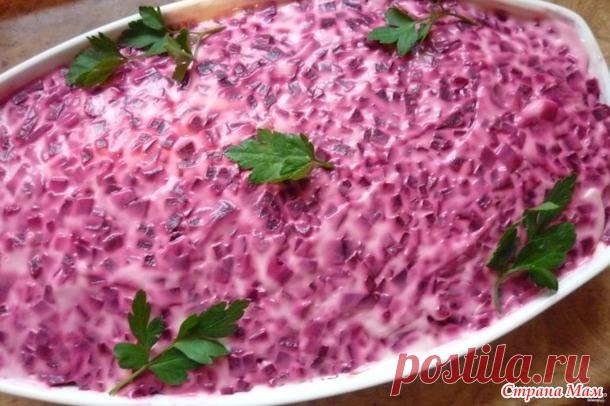 Селедка под шубой с яблоком. - Я не повар, я только учусь. - Страна Мам