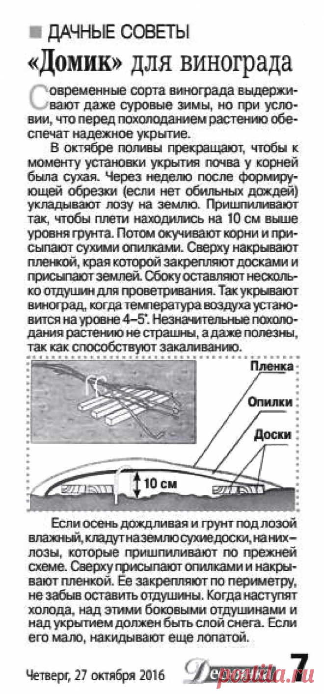 "Домик" для винограда