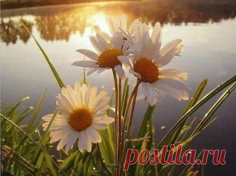 Кто не умеет получать радость от малого, никогда не будет доволен и многим.