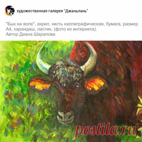 раздел &quot;быки&quot;