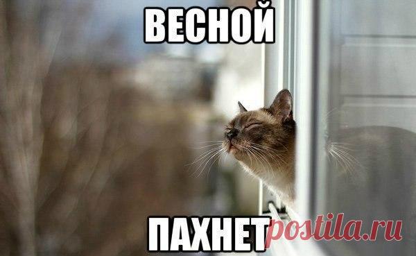 рукоделие | Записи с меткой рукоделие | Дневник marisha54