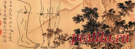 МАССАЖ ТОЧКИ ДОЛГОЛЕТИЯ | pokolenie-x.com