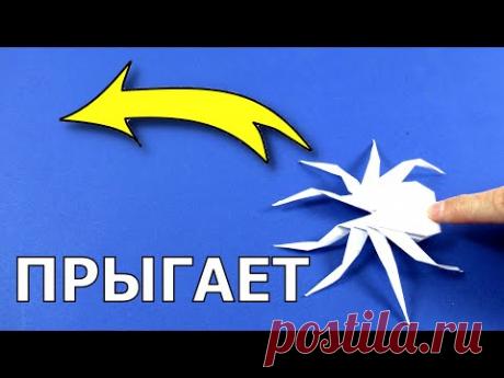 Как сделать прыгающего паука из бумаги 🕷 Оригами паук