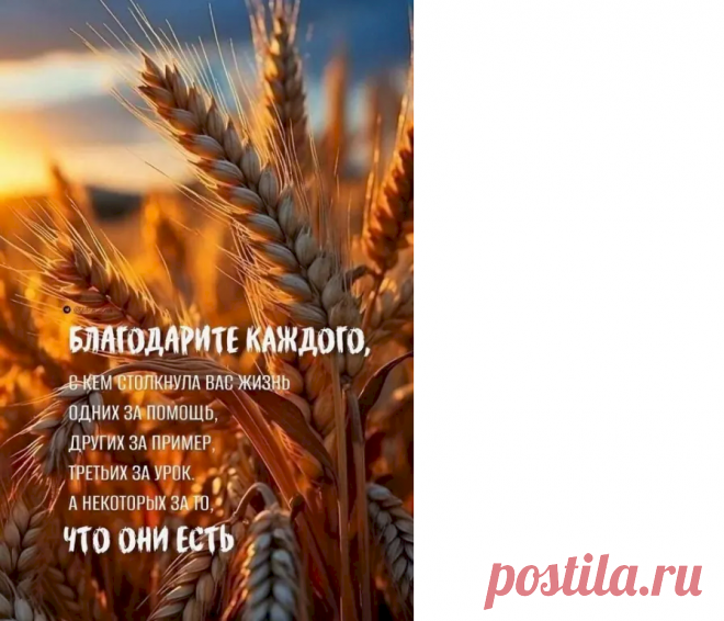 27fd30e8.png (896×768)