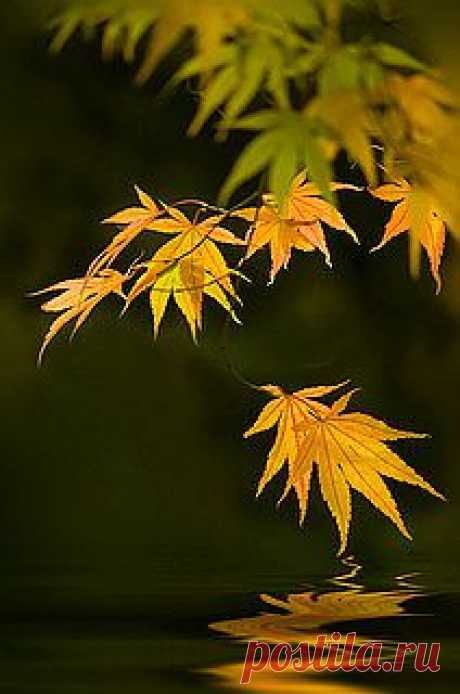 Autumn....A time to reflect. | Flickr - Photo Sharing!