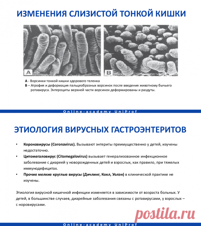 (11) Острые кишечные инфекции. Микрофлора. Показатели, клиника, диагностика, лечение