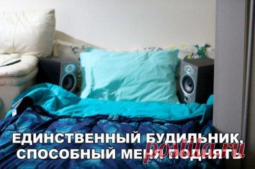 Смешные анекдоты в начале недели (25 шт)