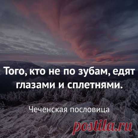 Институт Домохозяек!