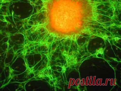 Кармические болезни: причины и способы избавления