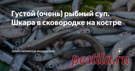 Густой (очень) рыбный суп. Шкара в сковородке на костре 1 марта, термометр показывает +34, влажность в районе 95%. Самое время есть густую уху. Или как ее называют одесситы, шкара. Они меня и научили!
Для приготовления этого блюда нужна мелкая, жирная рыба. Отлично подходит барабулька, хамса (она же килька), сардинка или мойва. Но в наших краях кроме сардин ничего подобного не ловят. Поэтому, в главной роли неизвестный мне малёк. Буду благодарен за