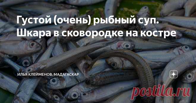 Густой (очень) рыбный суп. Шкара в сковородке на костре 1 марта, термометр показывает +34, влажность в районе 95%. Самое время есть густую уху. Или как ее называют одесситы, шкара. Они меня и научили!
Для приготовления этого блюда нужна мелкая, жирная рыба. Отлично подходит барабулька, хамса (она же килька), сардинка или мойва. Но в наших краях кроме сардин ничего подобного не ловят. Поэтому, в главной роли неизвестный мне малёк. Буду благодарен за