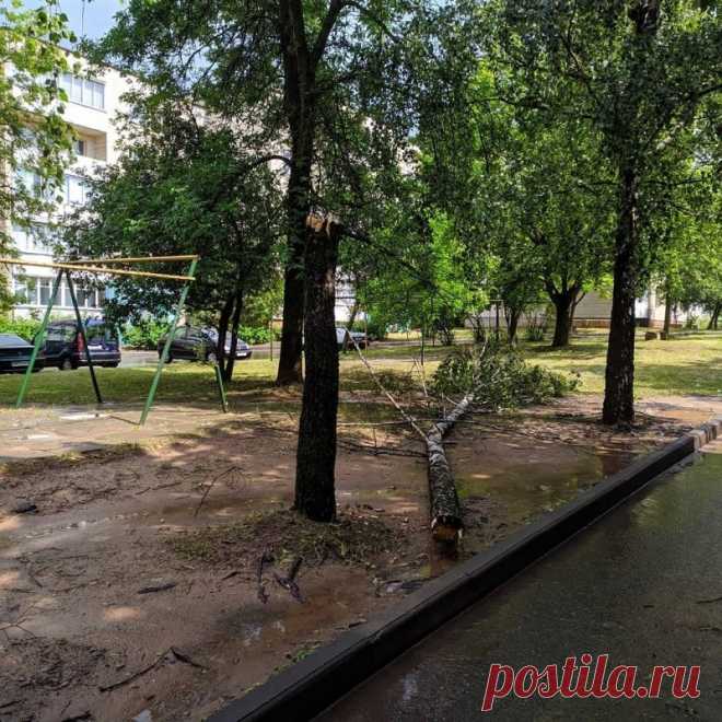 Последствия шквалистого ветра и ливня в Молодечно - Kraj.by