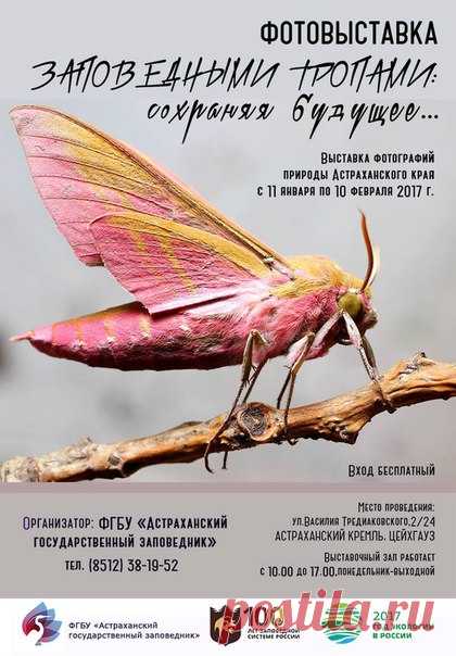 11 января в Астрахани откроется выставка «Заповедными тропами: сохраняя будущее». Она включает историческую часть из 30 фотографий, которые были восстановлены из негативов (Архив Астраханского государственного заповедника) и снимки заповедной астраханской природы от фотографов Евгения Полонского, Валерия Малеева, Германа Русанова, Алексея Кашина, Станислава Шинкаренко, Владимира Панькова и Олега Сараны. Приходите!