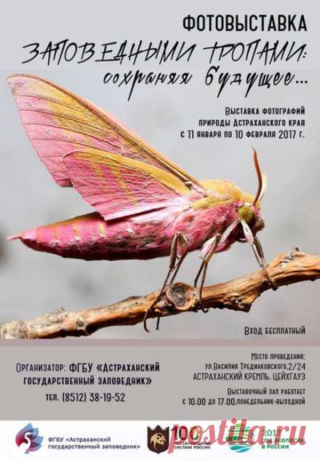 11 января в Астрахани откроется выставка «Заповедными тропами: сохраняя будущее». Она включает историческую часть из 30 фотографий, которые были восстановлены из негативов (Архив Астраханского государственного заповедника) и снимки заповедной астраханской природы от фотографов Евгения Полонского, Валерия Малеева, Германа Русанова, Алексея Кашина, Станислава Шинкаренко, Владимира Панькова и Олега Сараны. Приходите!