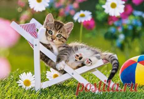 Мой Мир@Mail.Ru