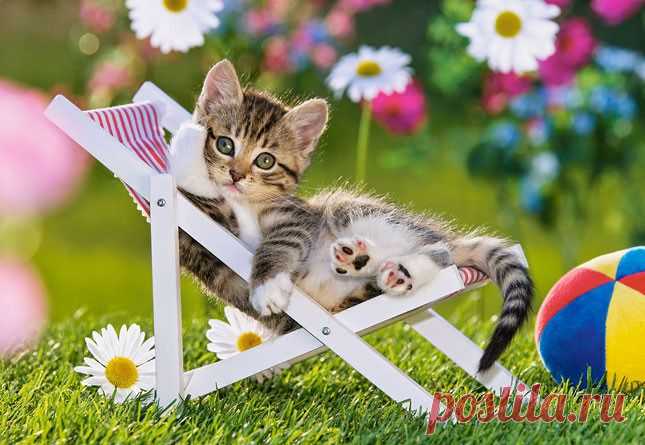 Мой Мир@Mail.Ru