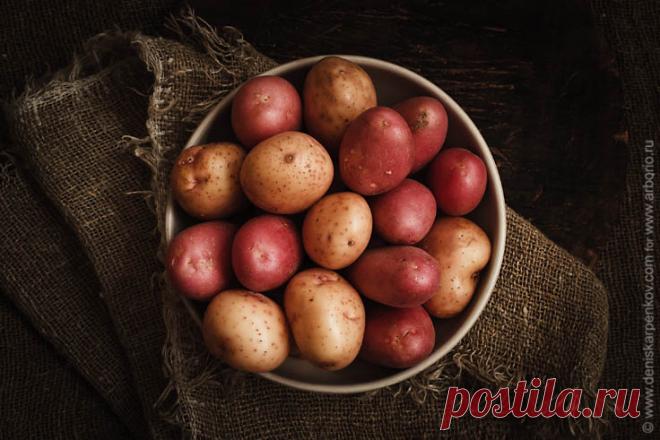 Как готовить картошку разных сортов? | Кулинарные заметки Алексея Онегина