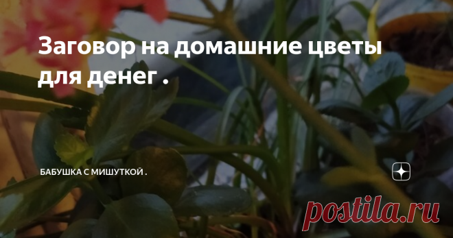 Заговор на домашние цветы для денег .   Но редко кто знает , что  цветы могут  помочь вам  в материальном положении , что они могут  приманивать деньги в дом. 
Я не  имею ввиду всем известное денежное дерево или долларовое.
А самые обычные , что  вы имеете в наличии. 
 И как это они могут помочь ? - могут у меня спросить . Отвечу  - просто . 
Вам достаточно  их  заговорить . 
Заговаривают каждый цветочный  горшок или один  решаете сами.  

И так , вам надо  взяв  целлофано...