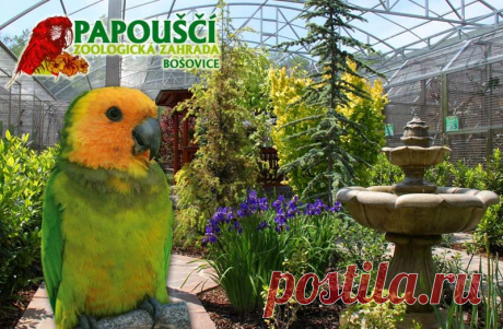 Первый в Чехии зоопарк с попугаями | Чехия: туризм жизнь недвижимость иммиграция
