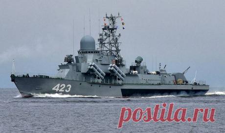 Три "Овода" для ТОФ: Минобороны заказывает модернизацию еще трёх МРК